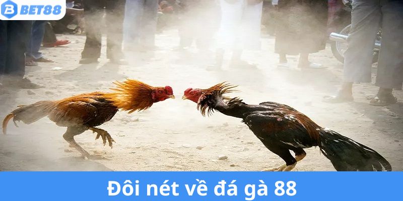 Đôi nét về chọi gà 88